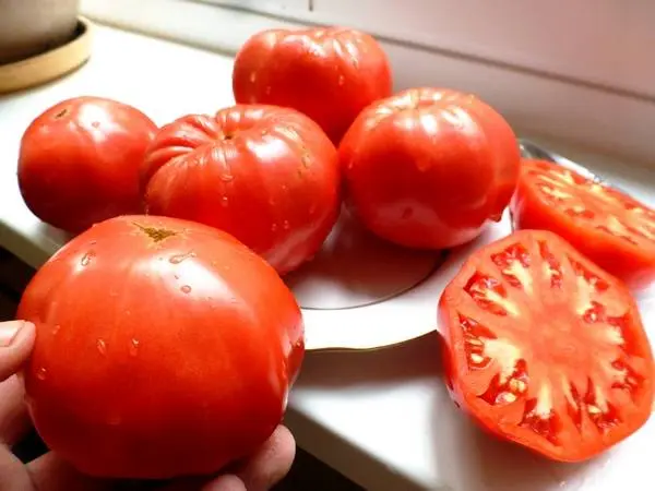 The best varieties of tomatoes for 2022