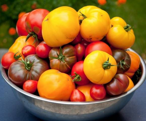 The best varieties of tomatoes for polycarbonate greenhouses