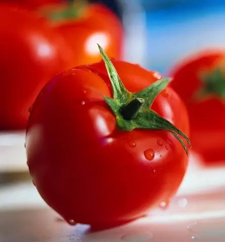 The best varieties of undersized tomatoes for greenhouses