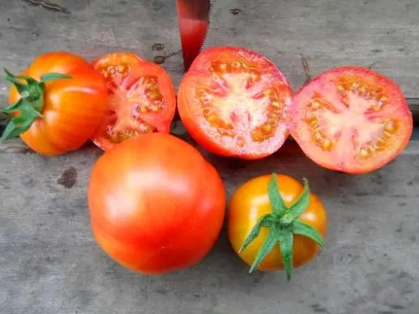 The best varieties of undersized tomatoes for greenhouses