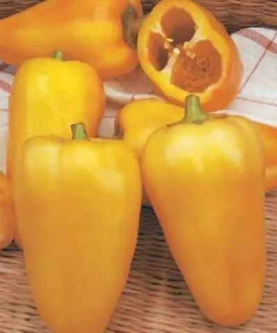 The best varieties of yellow pepper