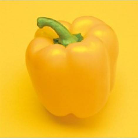 The best varieties of yellow pepper