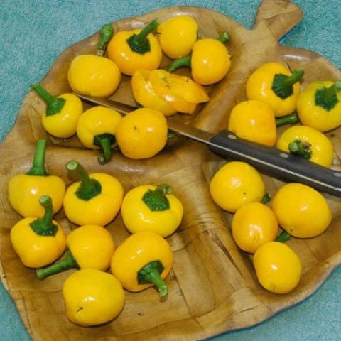 The best varieties of yellow pepper