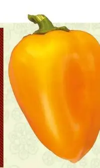 The best varieties of yellow pepper