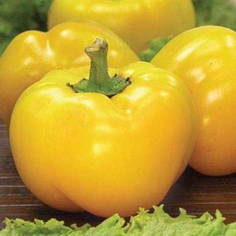 The best varieties of yellow pepper