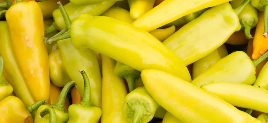 The best varieties of yellow pepper