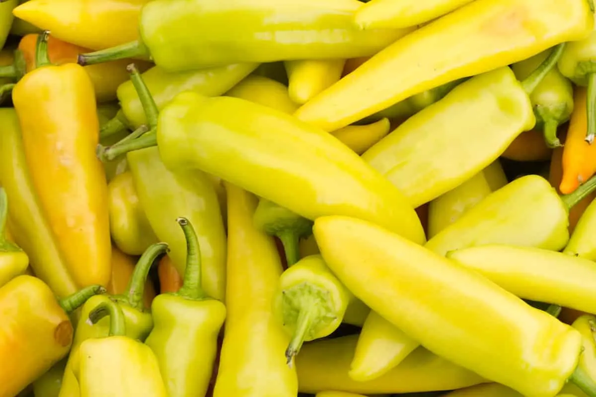 The best varieties of yellow pepper