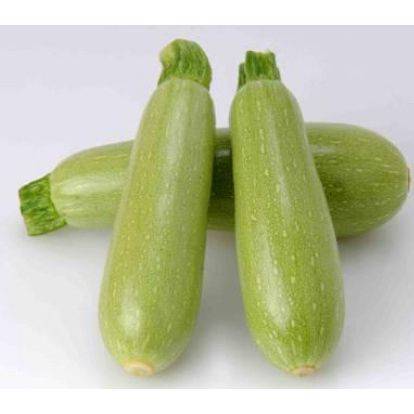 The best varieties of zucchini for open ground