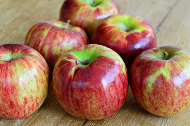 The best winter varieties of apples stored until spring