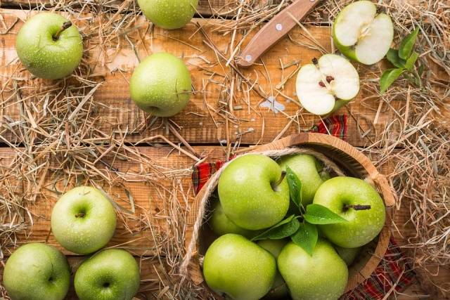 The best winter varieties of apples stored until spring