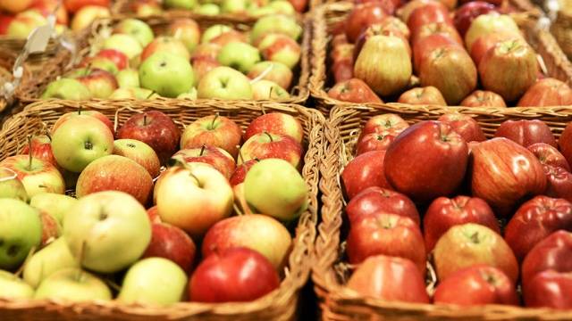 The best winter varieties of apples stored until spring