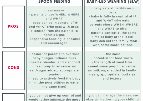 The BLW method &#8211; what is it, its advantages and disadvantages and when to use it