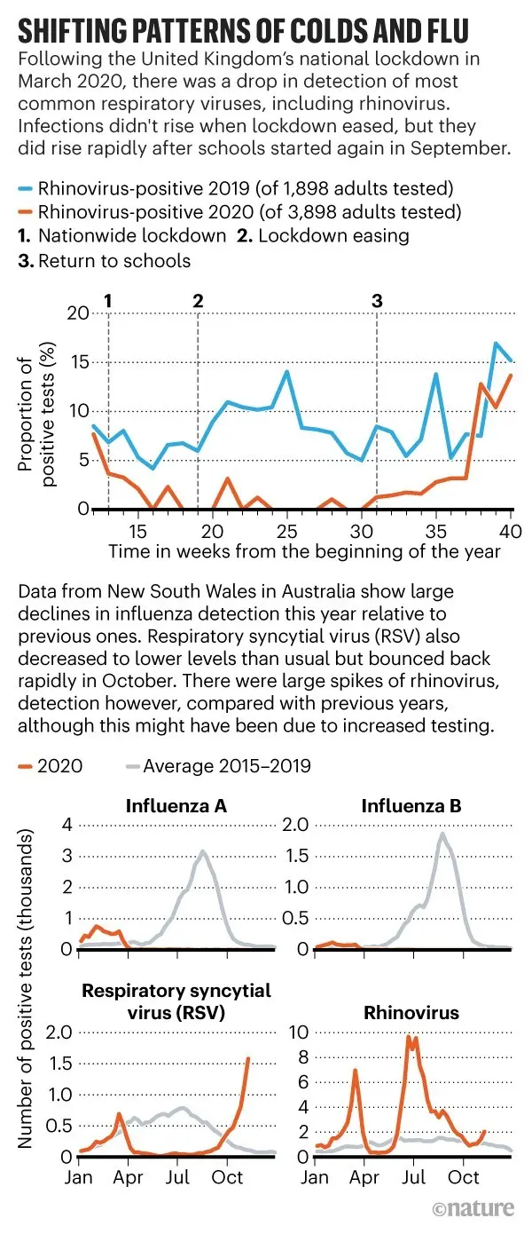 The British have lower immunity. «A Difficult Flu Season Awaits Us»