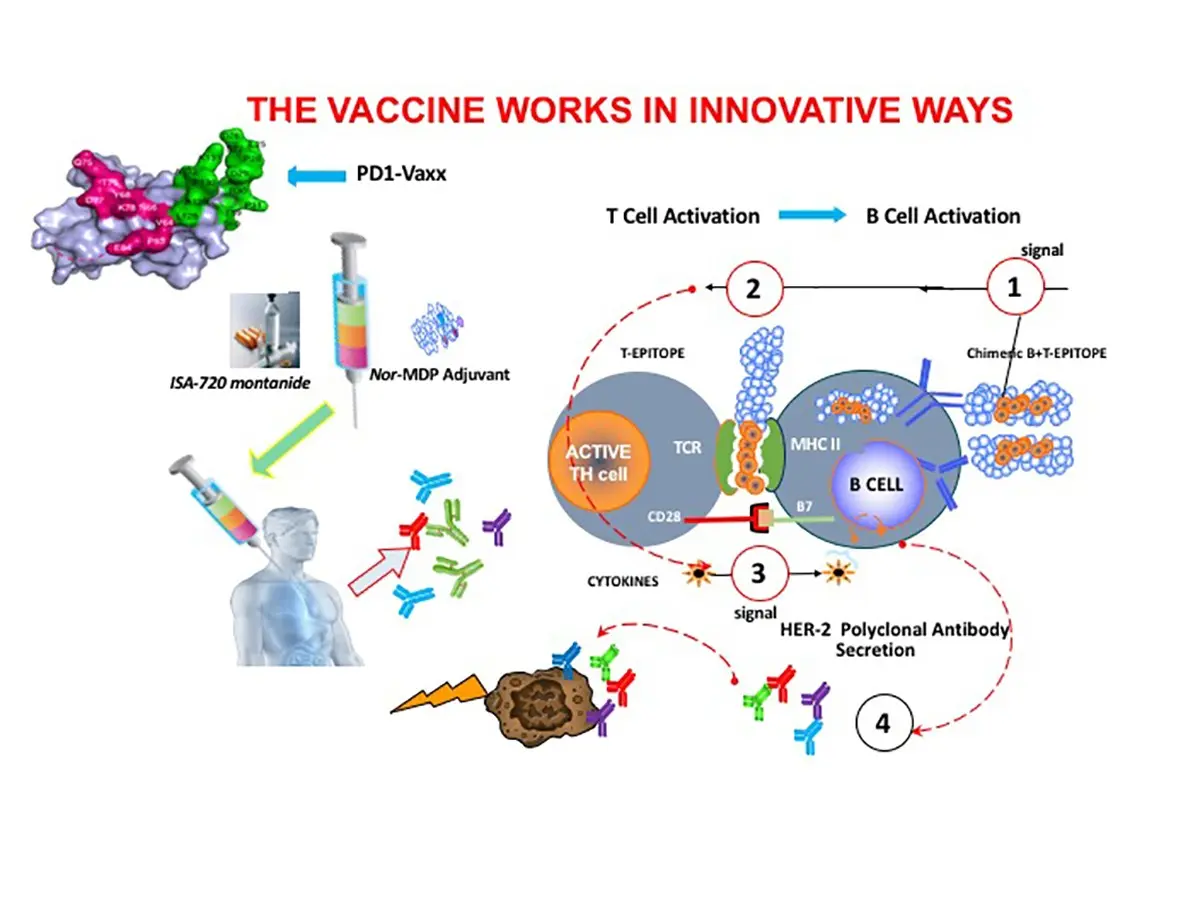 The cancer vaccine is entering human testing