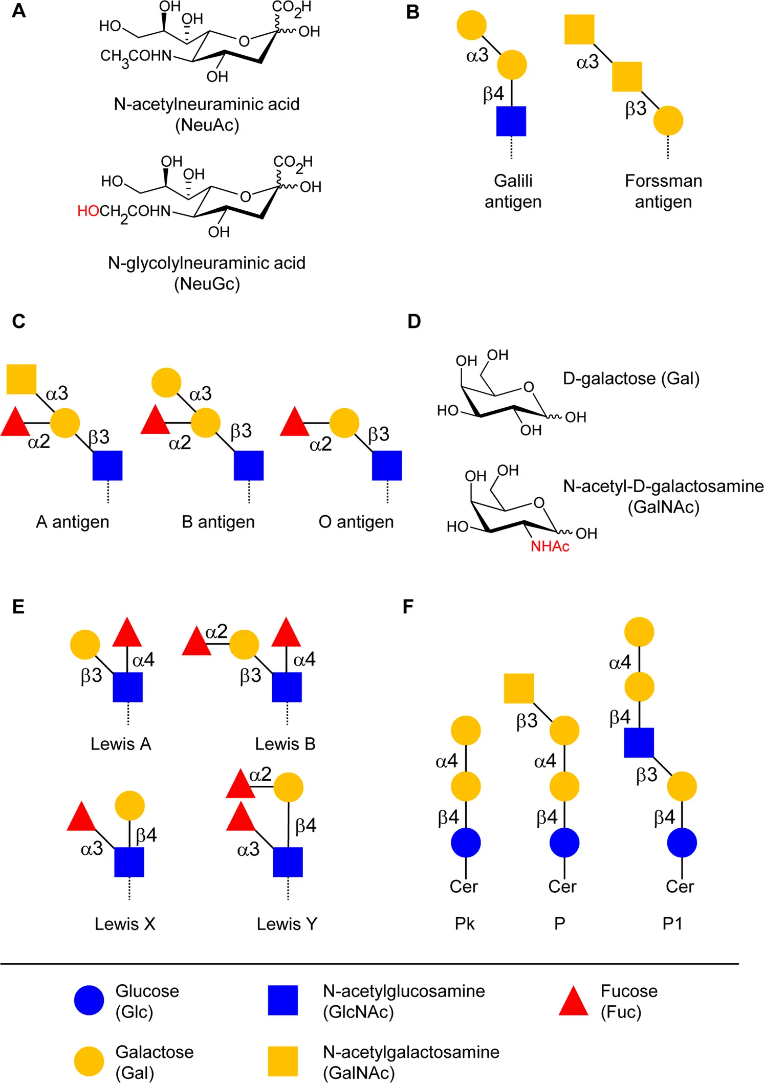 The carbohydrate derivative kills virulent viruses