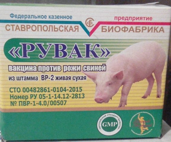 The causative agent of swine erysipelas