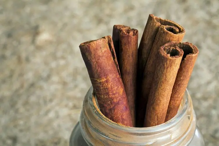 The cinnamon ingredient may help prevent colon cancer