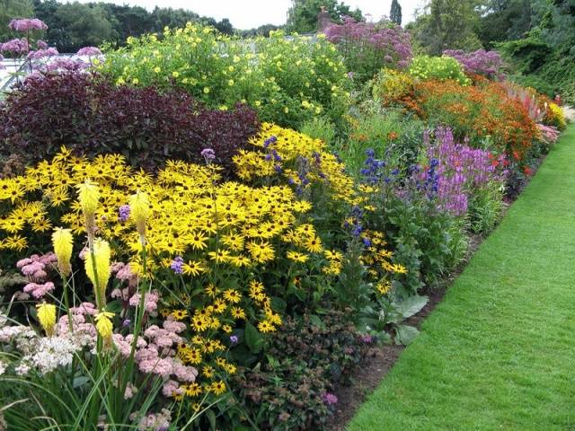 The composition of the mixture of tall perennials Flower Carnival