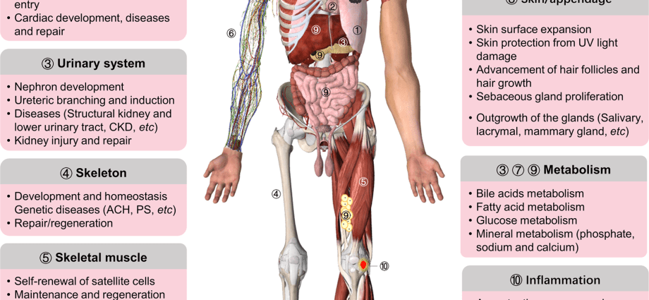 The COPD paradox. This is the third cause of death of Poles, almost nobody knows what it is