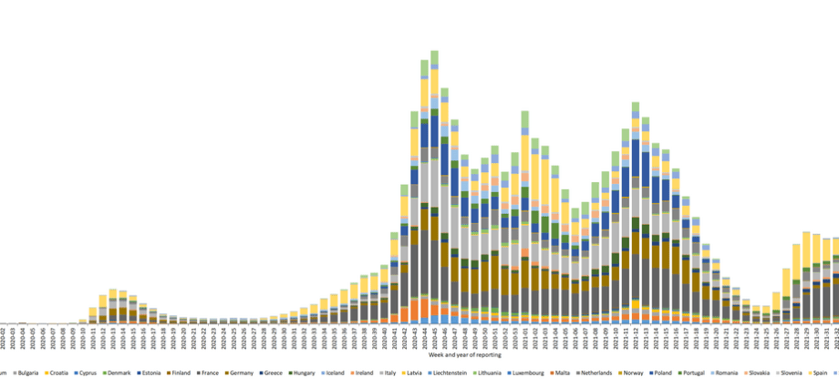 The coronavirus continues to infect. How many new cases and deaths from COVID-19?