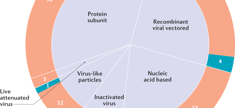 The coronavirus has already undergone at least six serious mutations. What about the vaccine then?