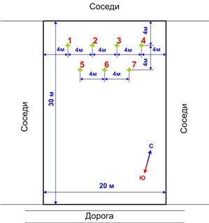 The correct distance between apple trees when planting – Healthy Food ...