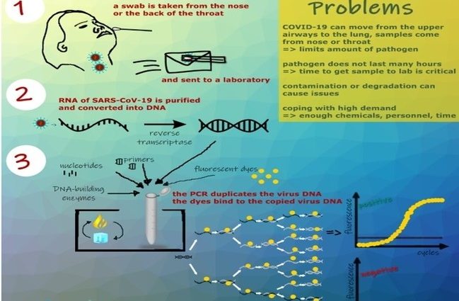 The COVID-19 test from Biedronka does not detect coronavirus. How it works? [WE EXPLAIN]