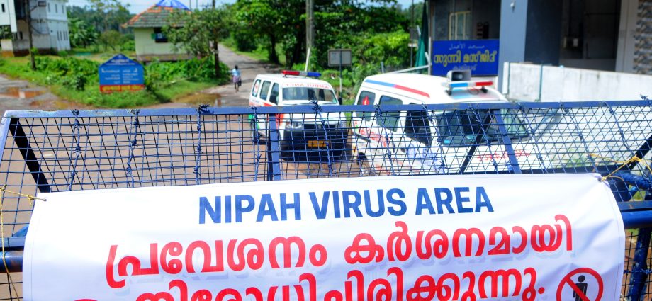 The deadly Nipah virus attacks again. A 12-year-old boy died. Indian services on standby