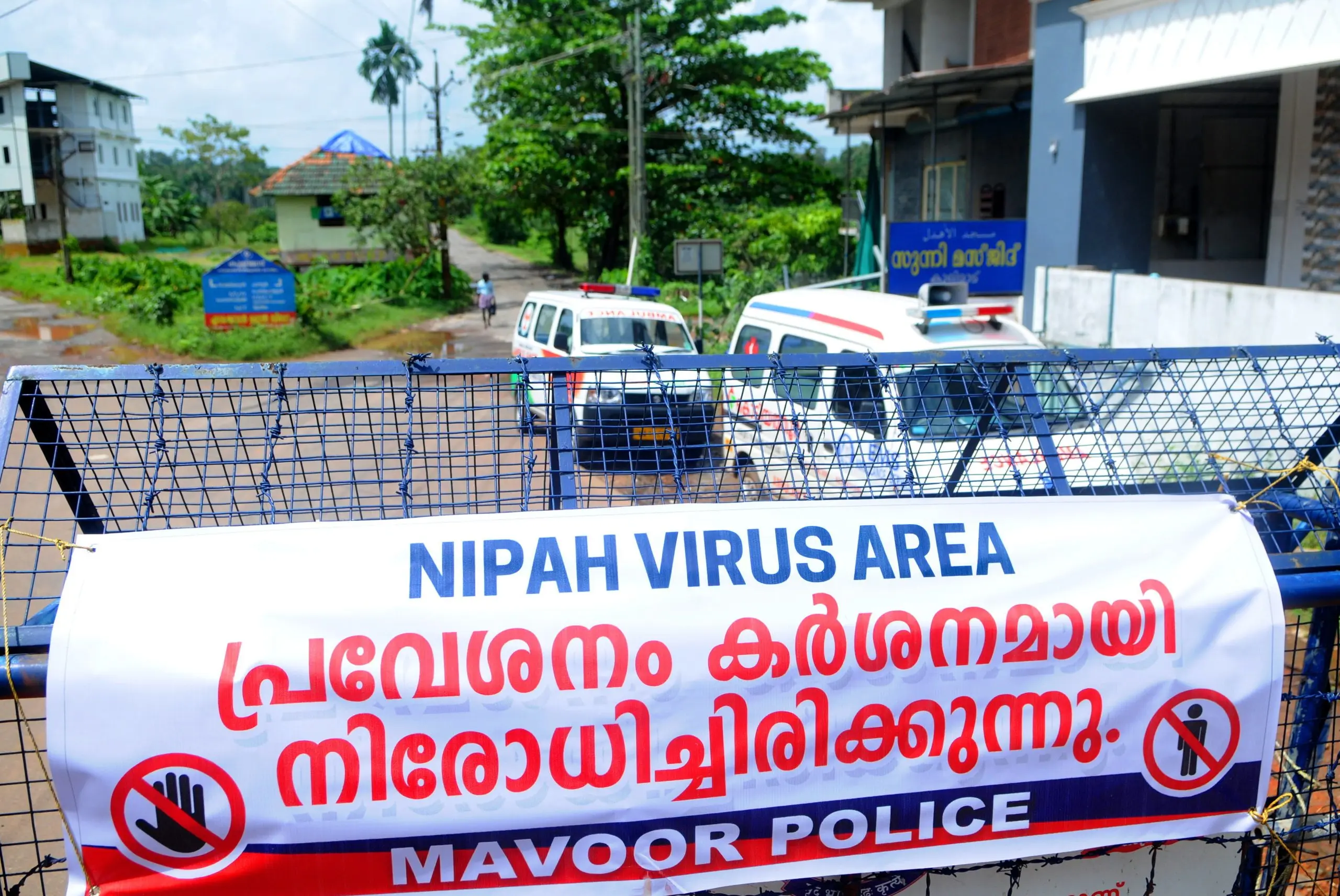 The deadly Nipah virus attacks again. A 12-year-old boy died. Indian services on standby