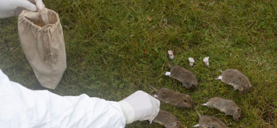 The death victim of the plague in China. Authorities are closing the village and warning