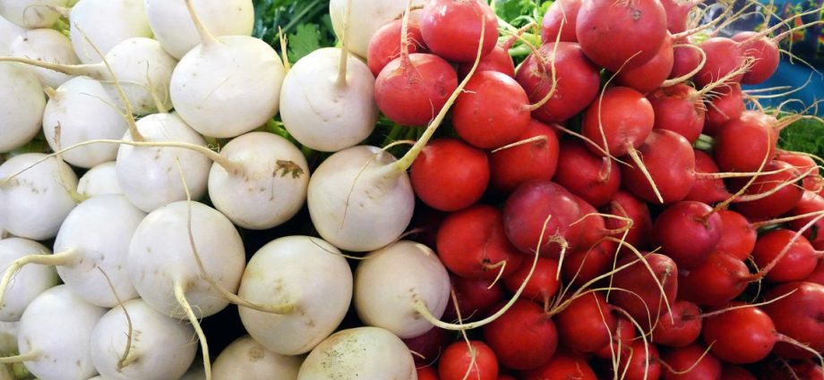 The difference between turnip and radish: useful properties, features of root crops