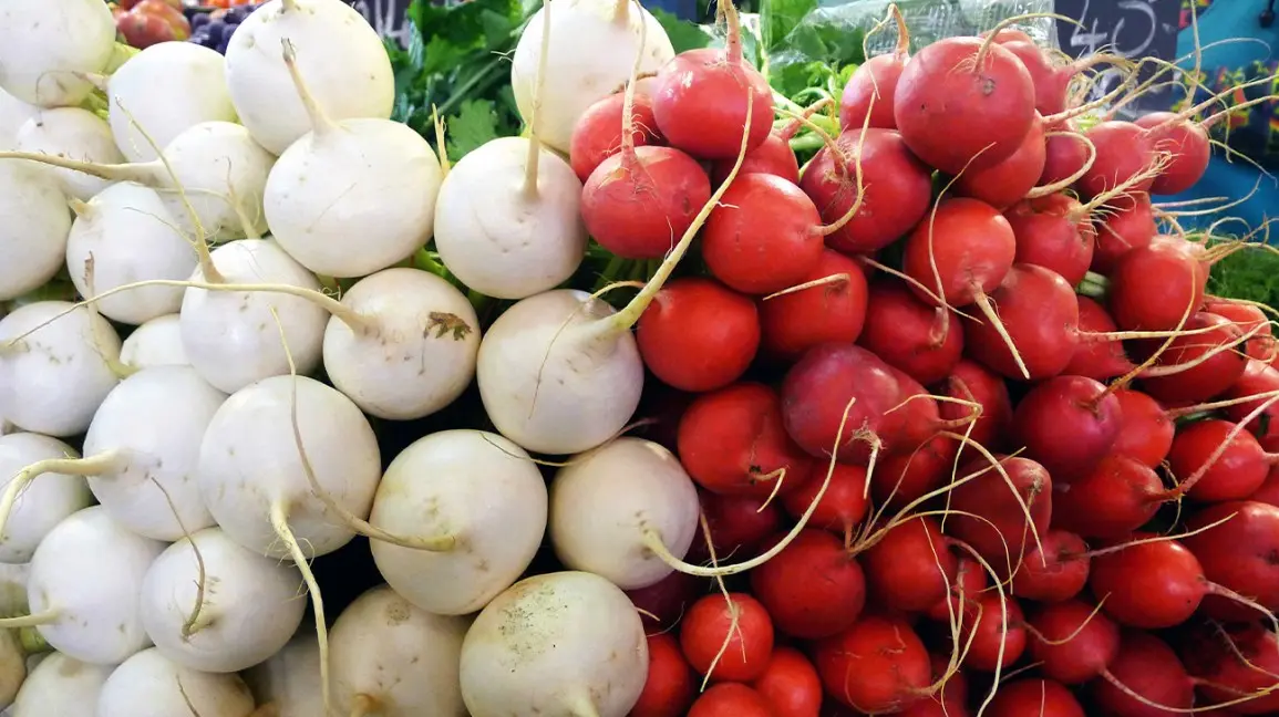 The difference between turnip and radish: useful properties, features of root crops