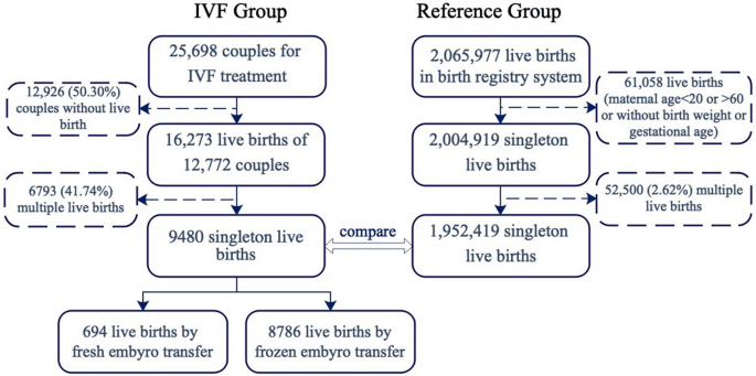 The draft law on in vitro fertilization requires further details and additions