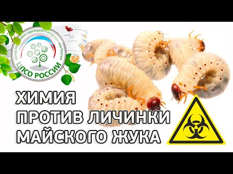 The drug Vallar from the larvae of the May beetle: instructions for use