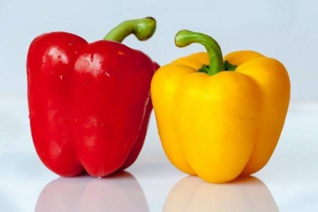 The earliest varieties of pepper for the Moscow region