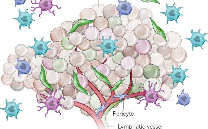 The environment of the blood cells influences the development of cancer