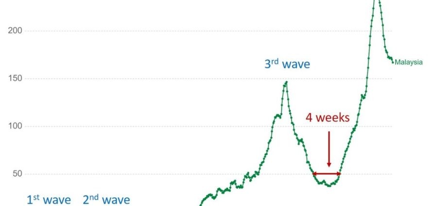 The fifth wave is starting to drop? Latest data on the number of infections and deaths