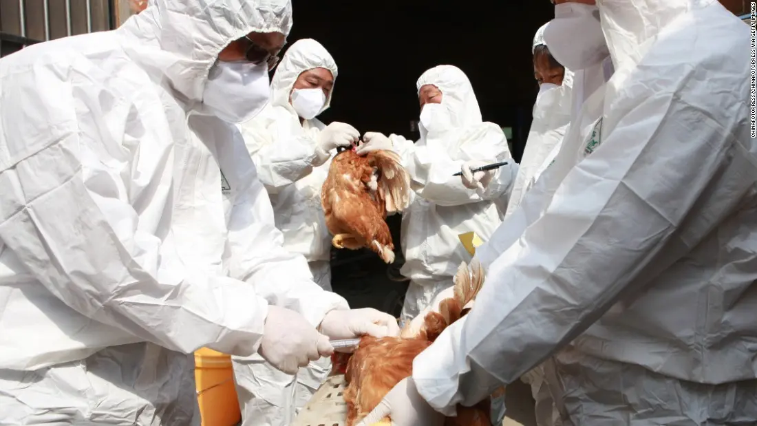 The first man infected with H7N4 avian flu