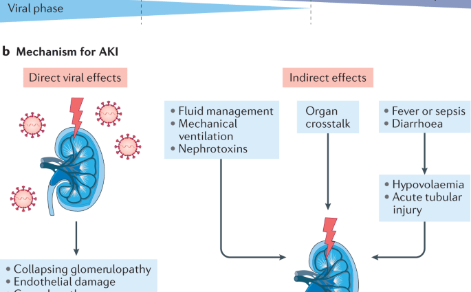 The five most serious kidney diseases. One in nine of us is sick