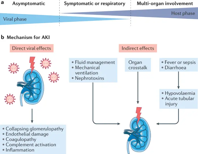 The five most serious kidney diseases. One in nine of us is sick