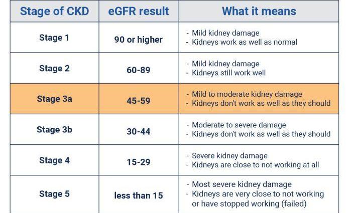 The five worst kidney diseases