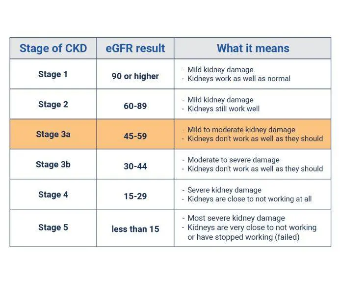 The five worst kidney diseases