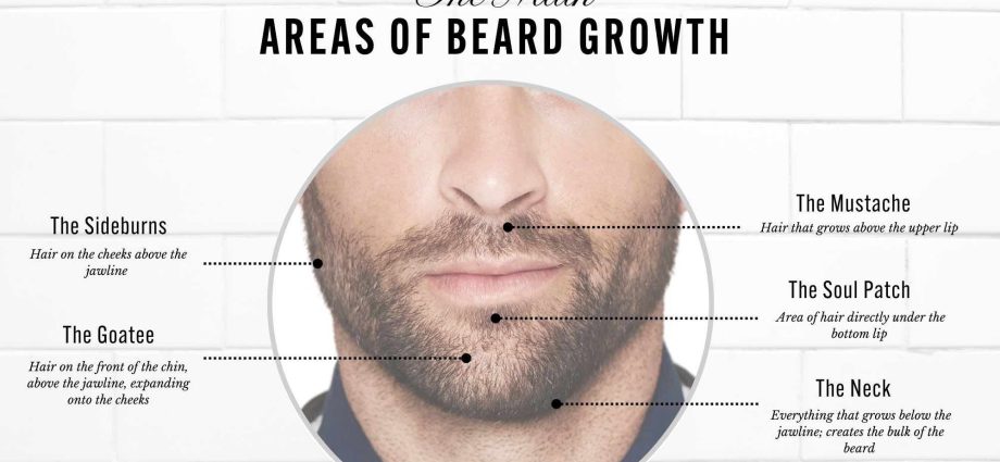 The formation of a &#8220;beard&#8221;: causes and methods of struggle