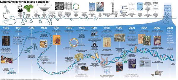 The future of genetic research