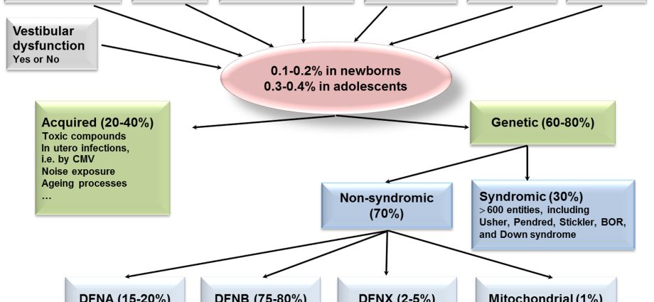 The gene for congenital deafness