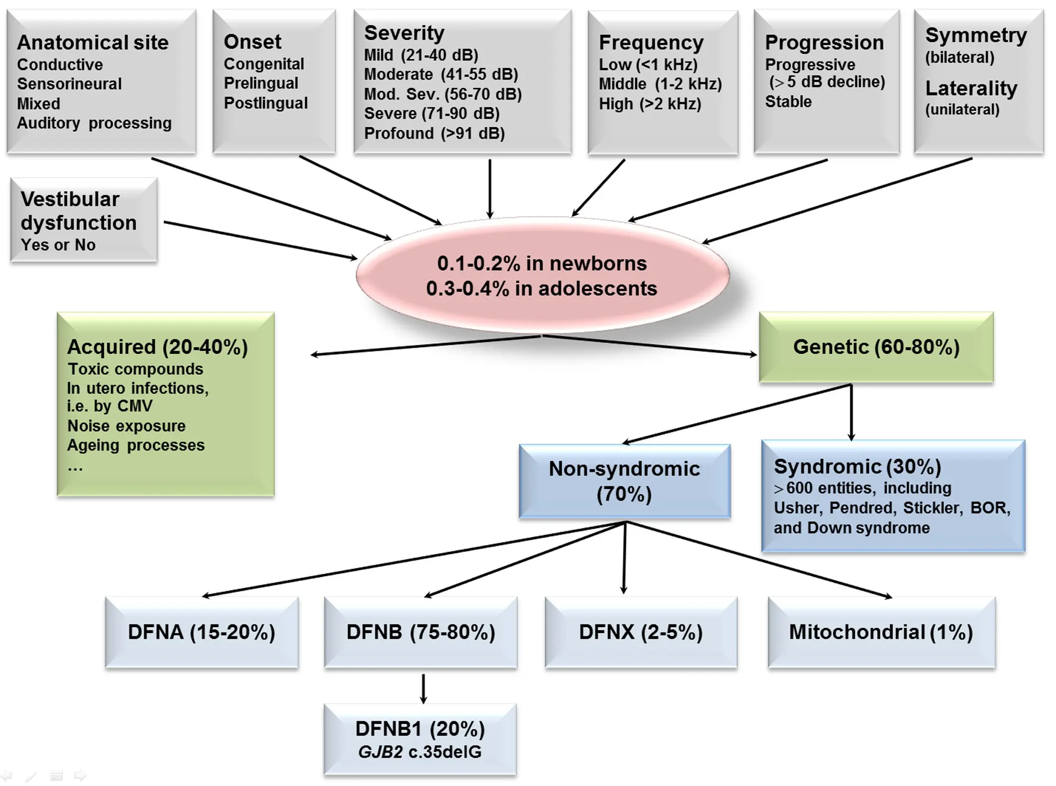 The gene for congenital deafness