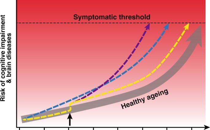 The gene variant affects mental performance in old age