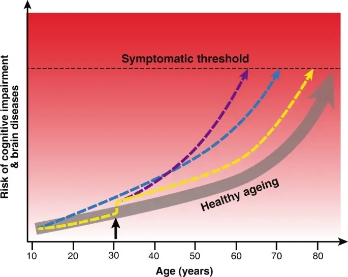 The gene variant affects mental performance in old age