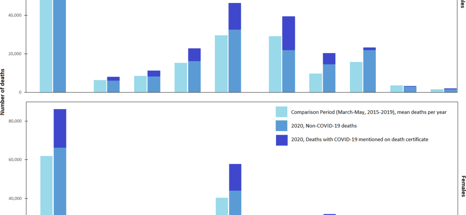 The hidden victims of the pandemic. Scary death data outside the statistics