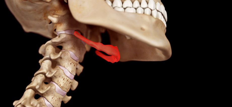 The hyoid bone &#8211; structure, functions, diseases, treatment. Fracture of the hyoid bone